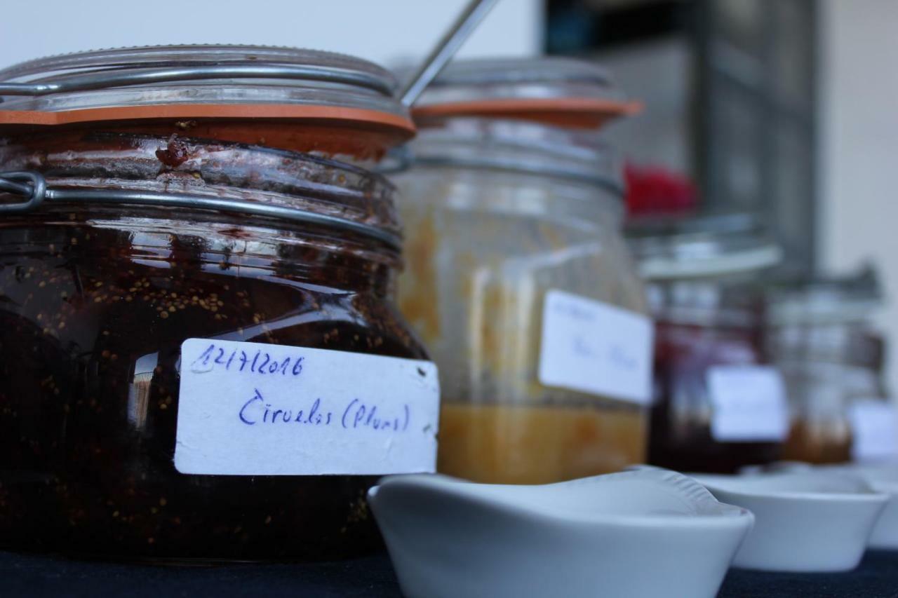 阿尔考茨因El Nispero Dulce住宿加早餐旅馆 外观 照片